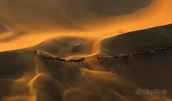 梦驼铃,太美啦! 上