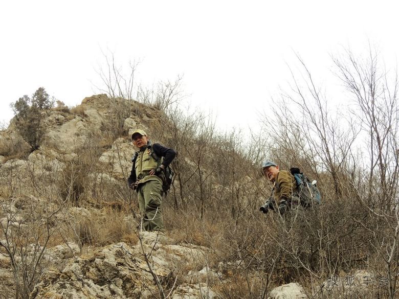 劈荆斩刺只为一睹你的容颜