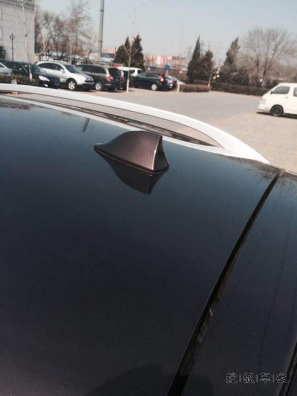 本质变形金刚粉,给我家小6纹身了!