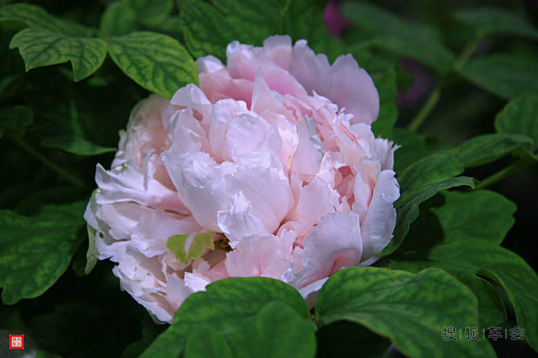 比亚迪2015年打卡