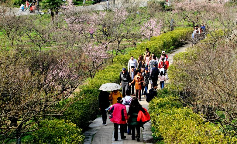 不要人夸好颜色,只流清气满乾冲。
