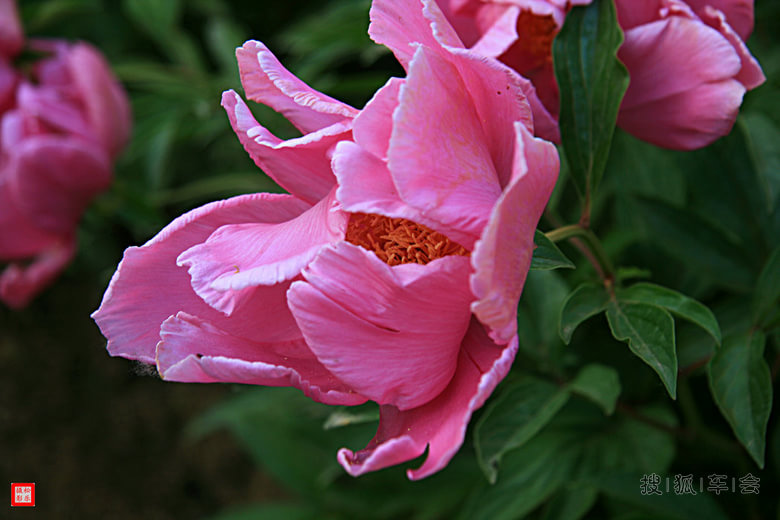 比亚迪2015年打卡