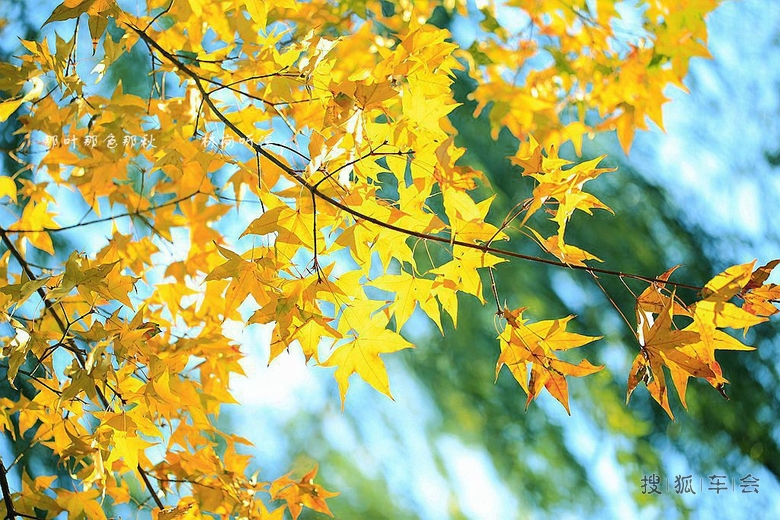 [原创]做一个快乐、幸福、知足的人_北京炫丽