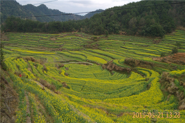 3月21日自驾徽州灵山景区一日游_黄山车之旅