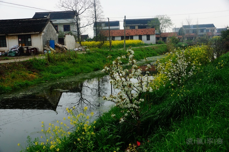 [苏车杂谈0416]油菜花开时江苏海门农村