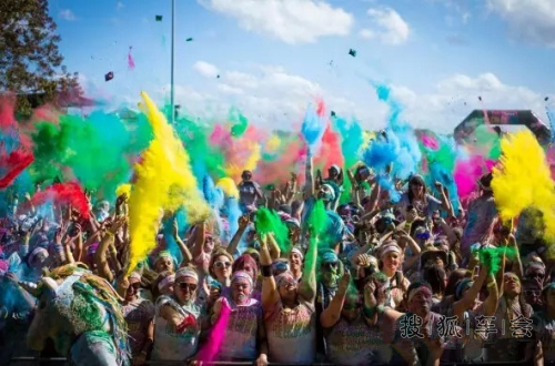 奥迪2015中国国际露营大会--露营者们的饕餮盛