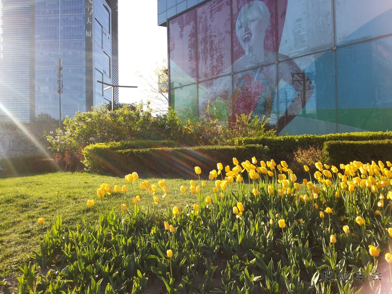 2015-4-17-19日本四日游_北斗星-星华社_搜狐