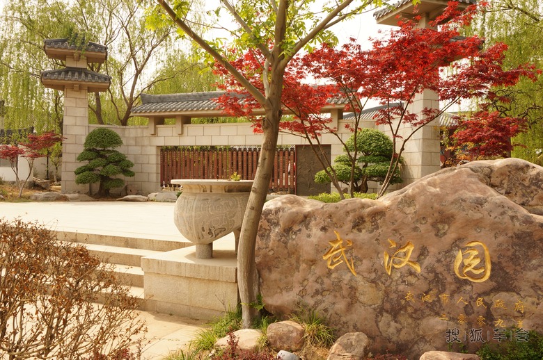 园博园之武汉园_速腾-我行我速