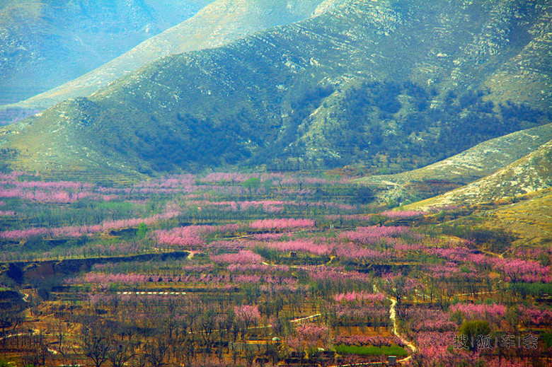 带着老妈舍近求远顺平去看桃花节_乐风-乐友队