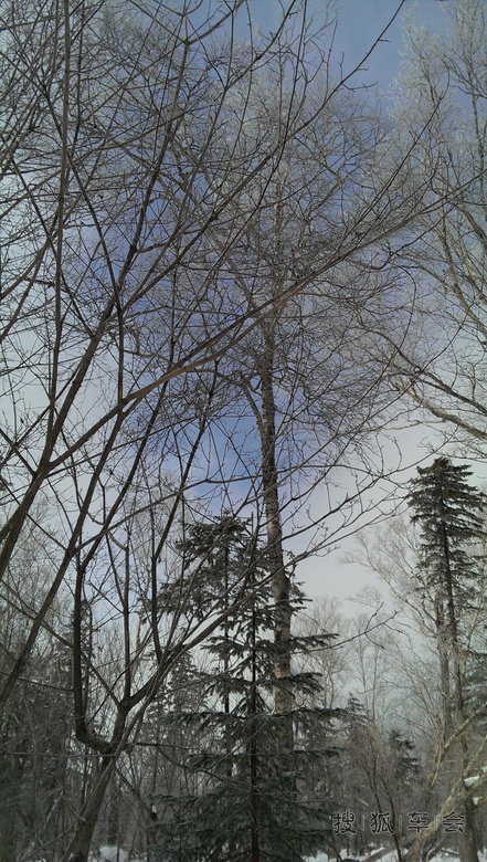 大秃子山雪地摩托穿越