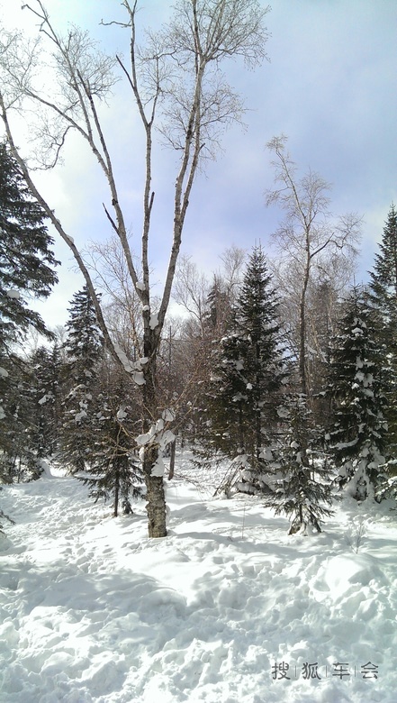 大秃子山雪地摩托穿越_帕萨特-帕盟