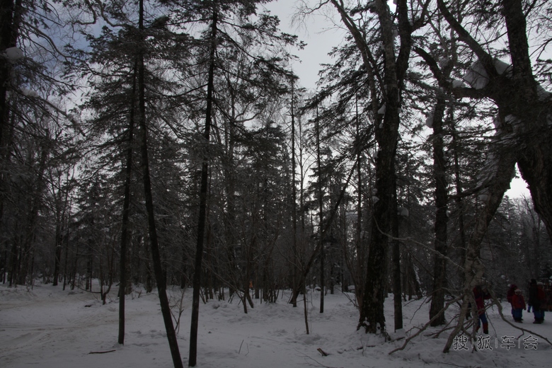大秃子山雪地摩托穿越_帕萨特-帕盟