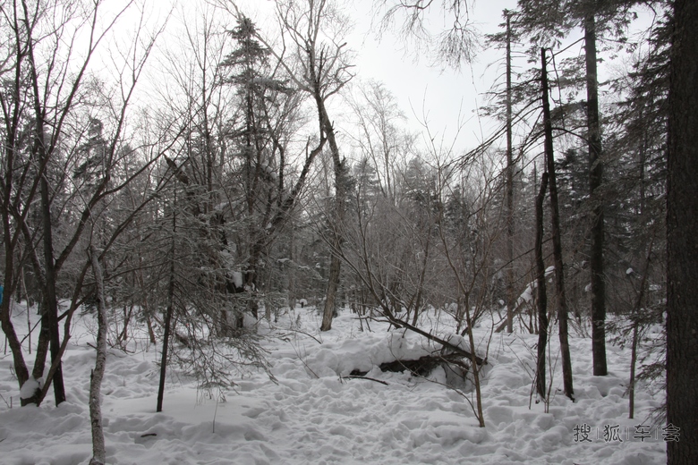 [沪车写手]大秃子山雪地摩托穿越