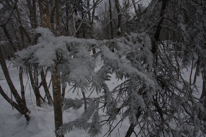 大秃子山雪地摩托穿越