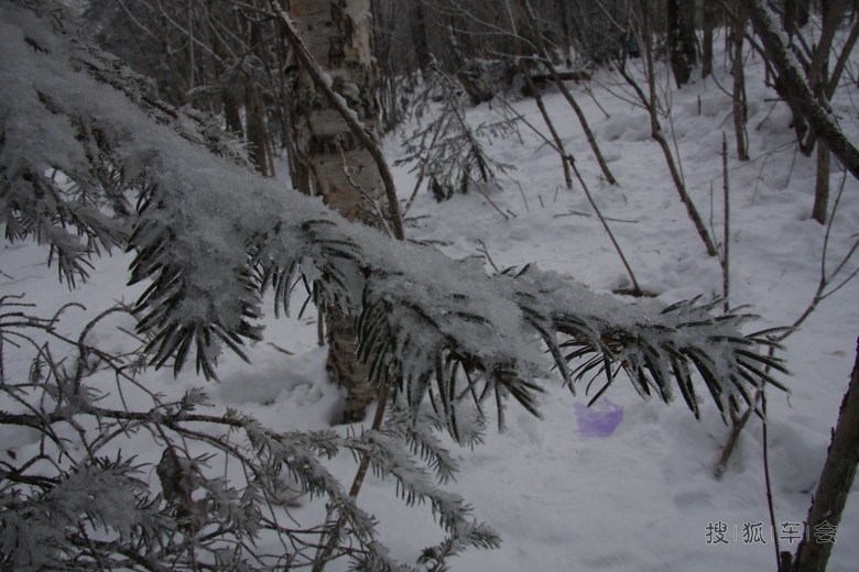 大秃子山雪地摩托穿越_帕萨特-帕盟