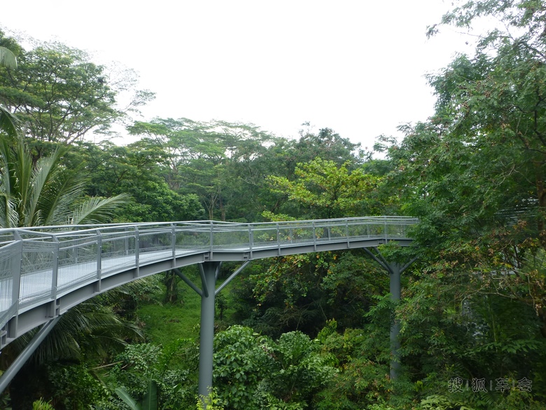 [腾云写手]亚历山大拱桥和森林步道_迈腾-腾云