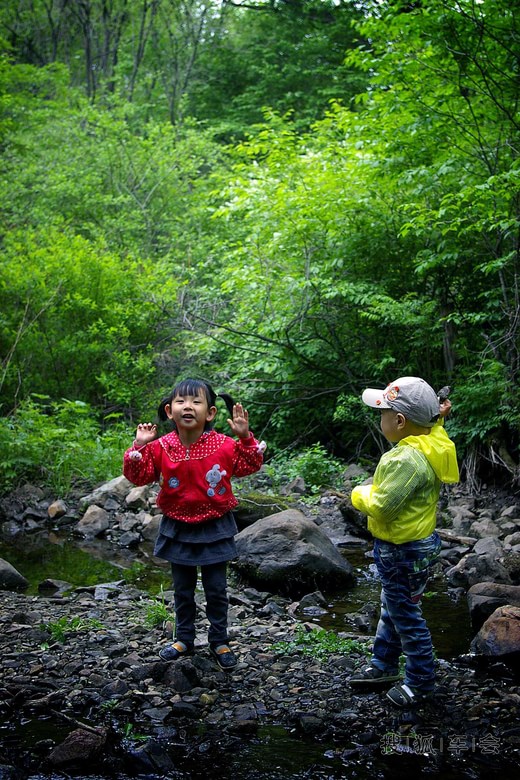 喜迎五一,快乐相伴-芬多精之浴