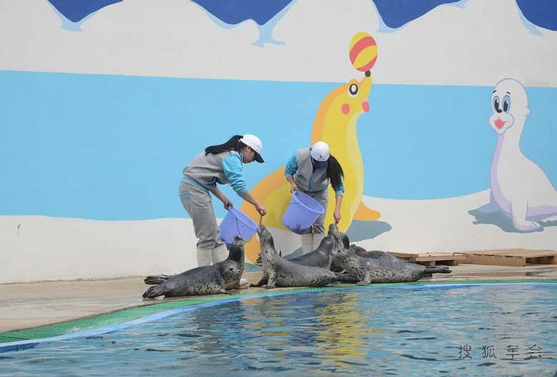 五一北戴河自驾游(圣蓝海洋公园)