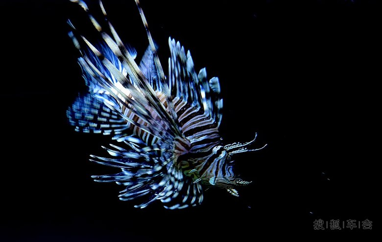 五一北戴河自驾游(圣蓝海洋公园)