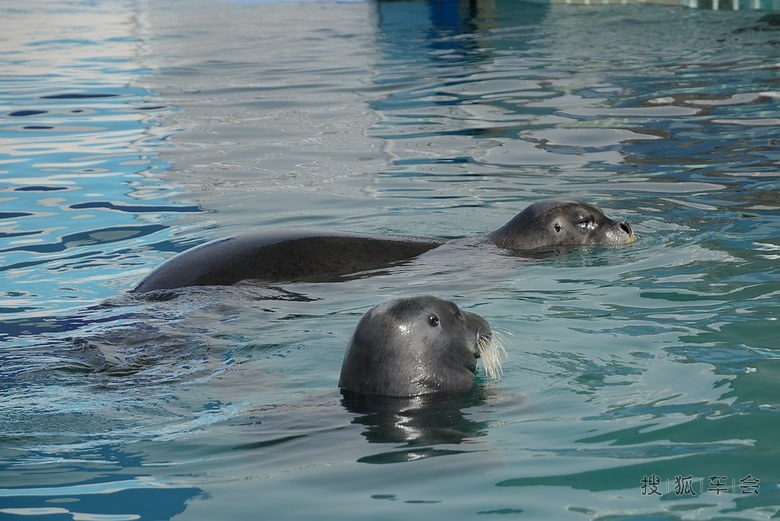 五一北戴河自驾游(圣蓝海洋公园)