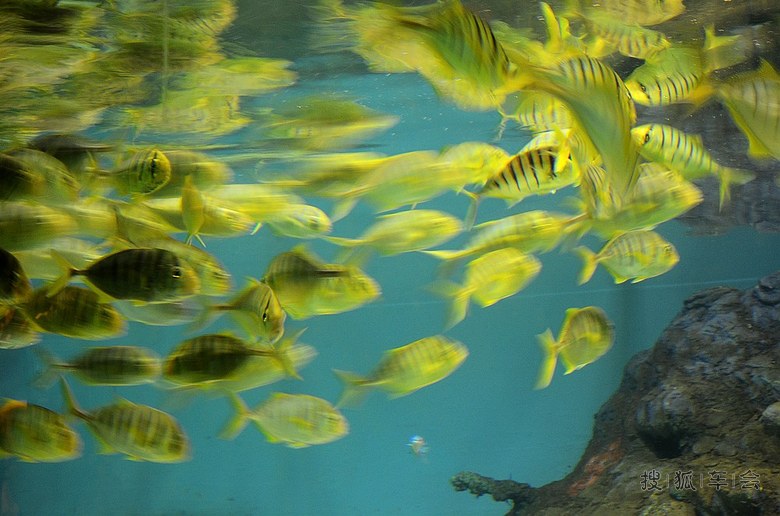 五一北戴河自驾游(圣蓝海洋公园)