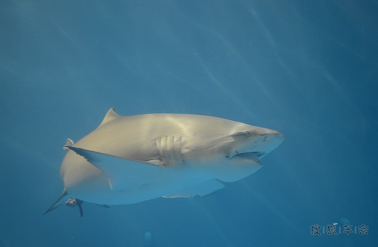 五一北戴河自驾游(圣蓝海洋公园)