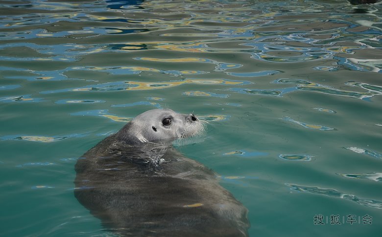 五一北戴河自驾游(圣蓝海洋公园)