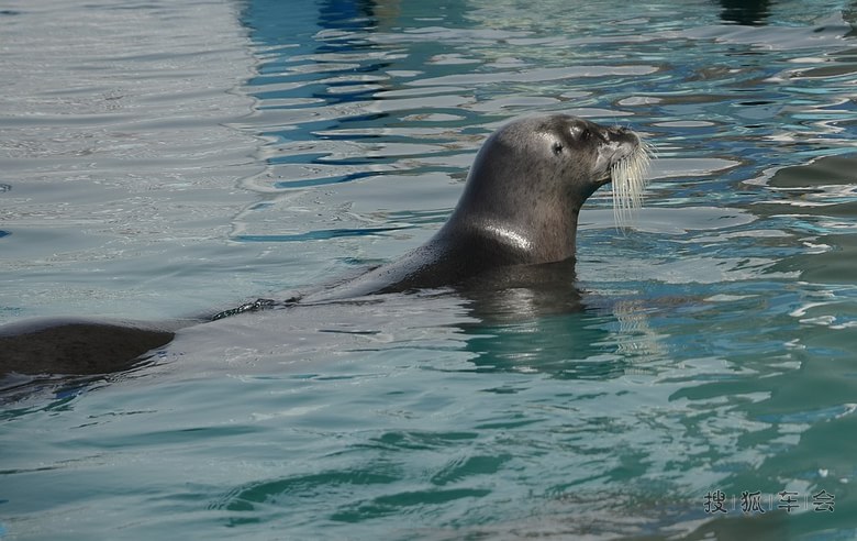 五一北戴河自驾游(圣蓝海洋公园)