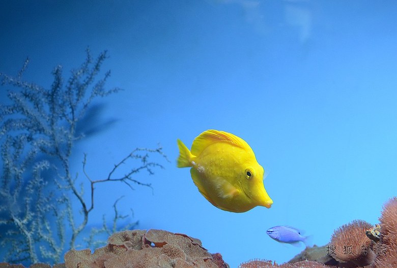 五一北戴河自驾游(圣蓝海洋公园)