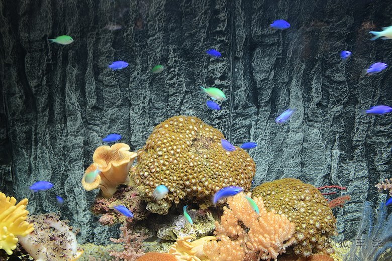 五一北戴河自驾游(圣蓝海洋公园)