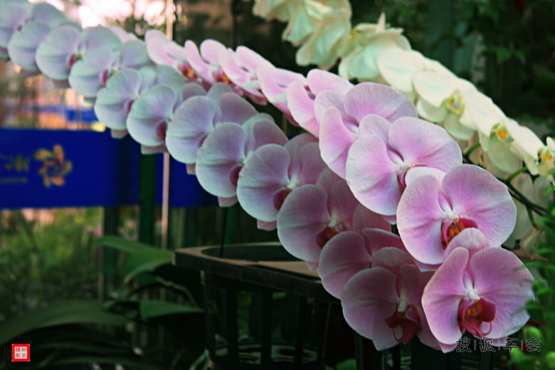 比亚迪2015年打卡