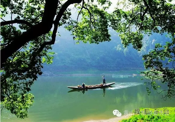 自驾游安徽新安江山水画廊 采摘歙县三潭枇杷