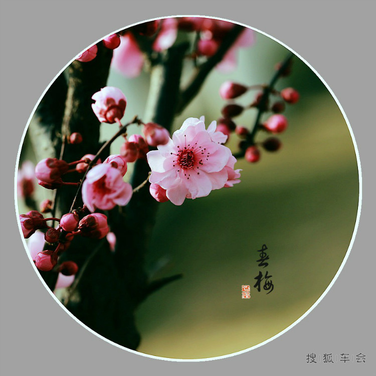 能打开任何人心结的一段话!