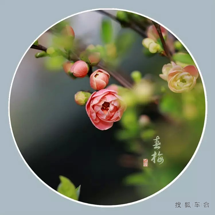 能打开任何人心结的一段话!