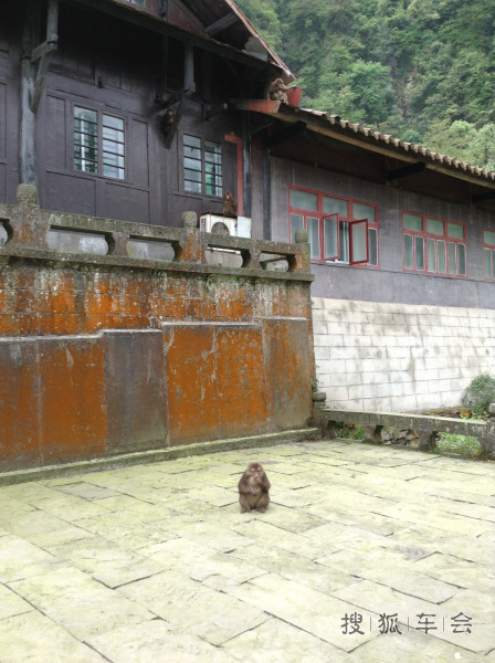 翼虎峨眉山潇洒归来