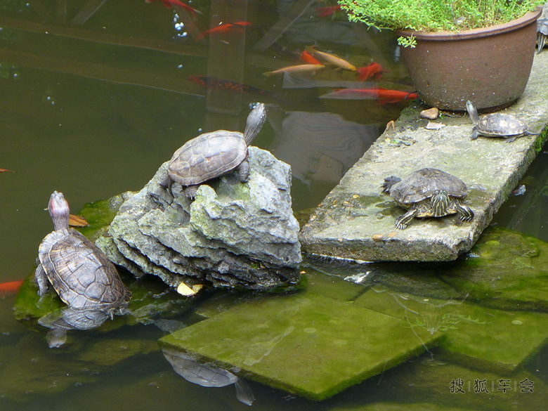 长沙--岳麓山、橘子洲_驾车旅游_搜狐车友会