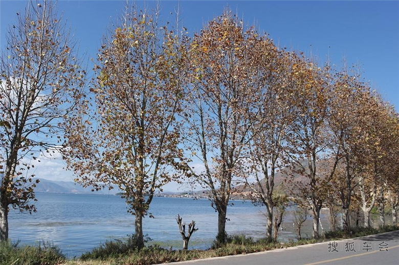 PID22464540