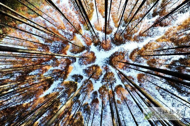 乐享其程--三特千岛湖亲子自驾游活动成员招