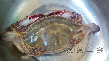 暑假想去哪?没想好的朋友们可以进来看看