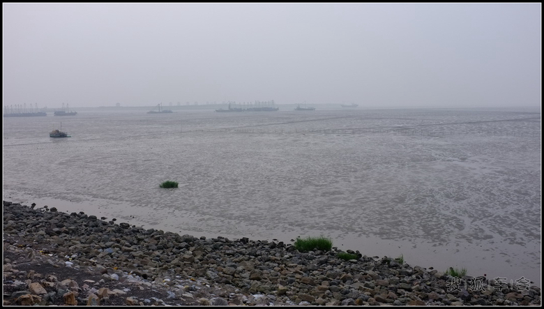 感谢角度大哥、感谢杜总--难忘的吕四港品尝海鲜