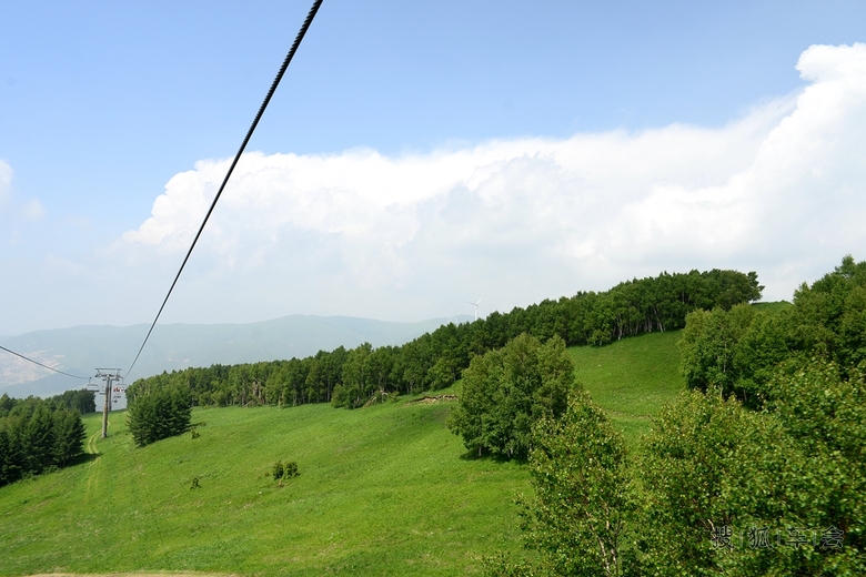 【多乐美地】不一样的夏天