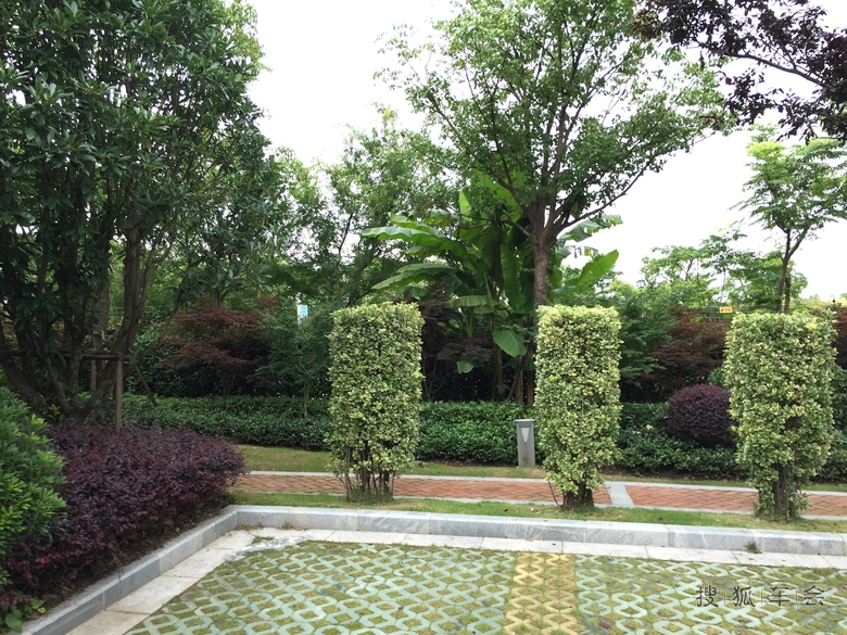 到上海崇明东滩花园去打高儿夫