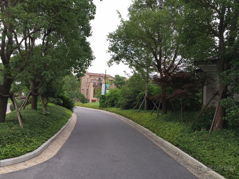 到上海崇明东滩花园去打高儿夫