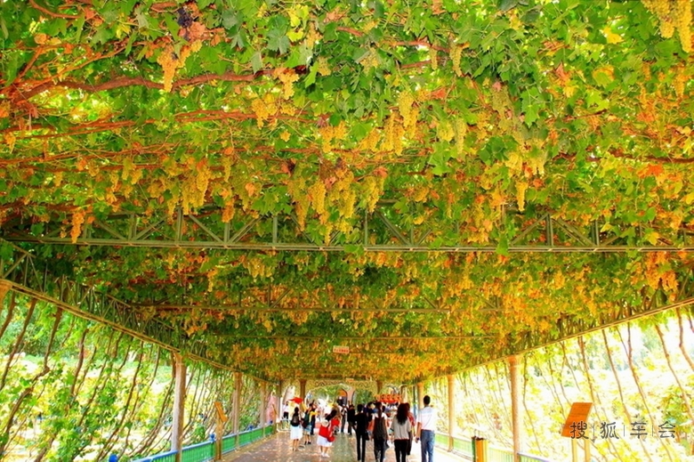 2015年9月20日【新疆自驾】喀纳斯风光十日游