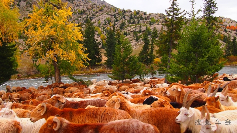 2015年9月20日【新疆自驾】喀纳斯风光十日游