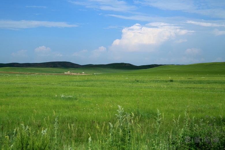 自驾内蒙古草原6日游