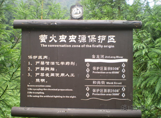 股票绿了,有人上了天台,我上了天台山