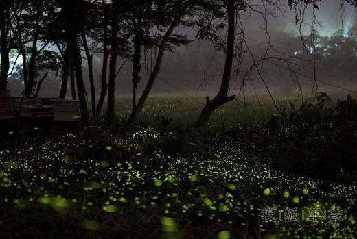 股票绿了,有人上了天台,我上了天台山