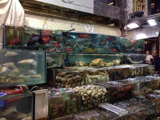 看「一百篇」香港攻略,不如「这一篇」!_港澳