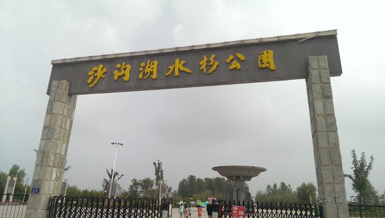 邳州沙沟湖水杉公园